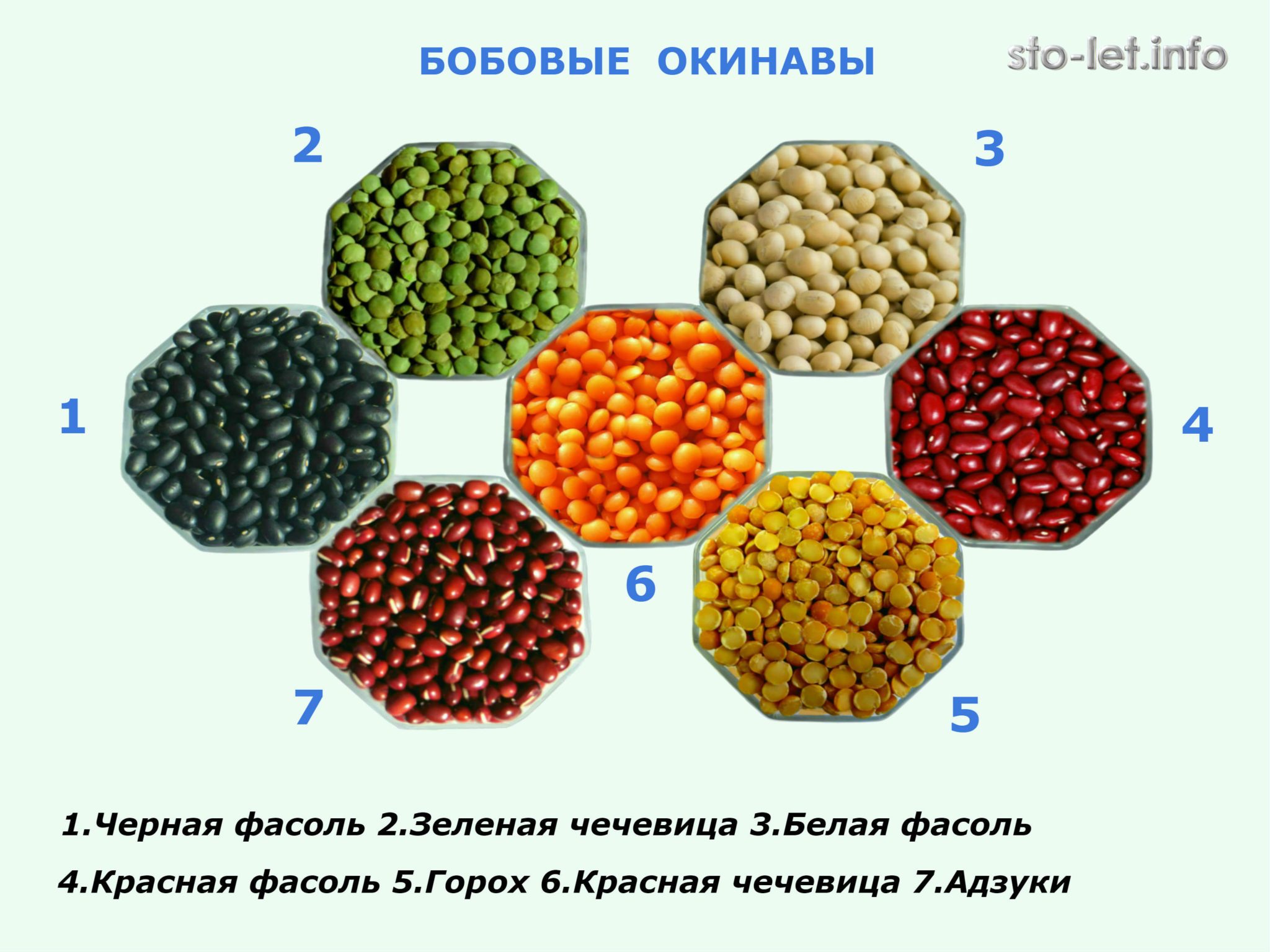 Бобовые это. Виды бобовых. Соя это бобовые или злаки. Чечевица Бобы. Чечевица это бобовые.