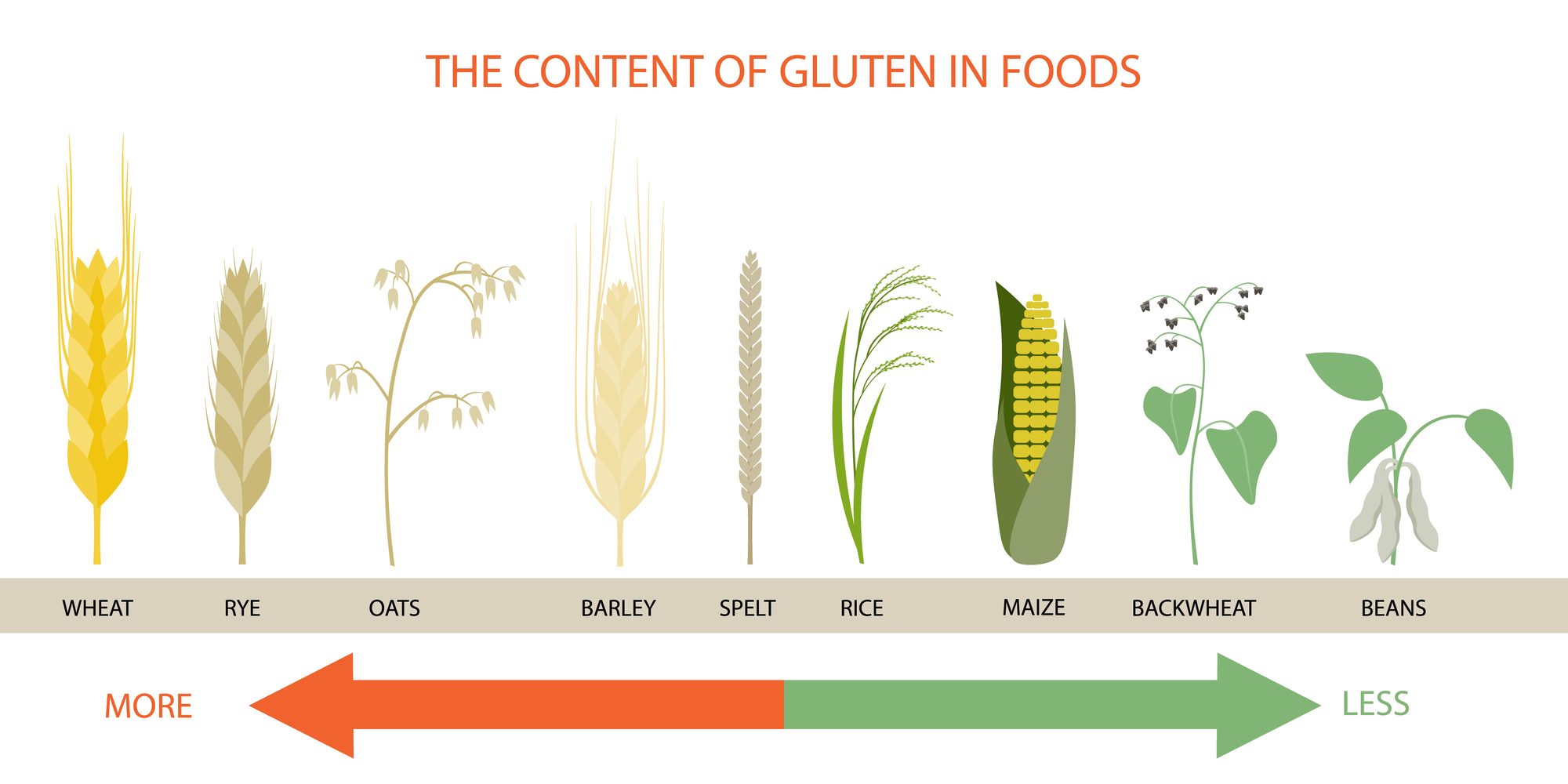 Wheat инфографика